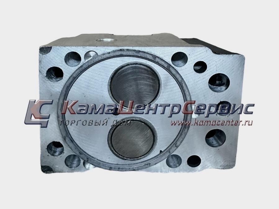 Головка блока цилиндров (ГБЦ) в сборе (ПАО КАМАЗ) 740-1003010-20