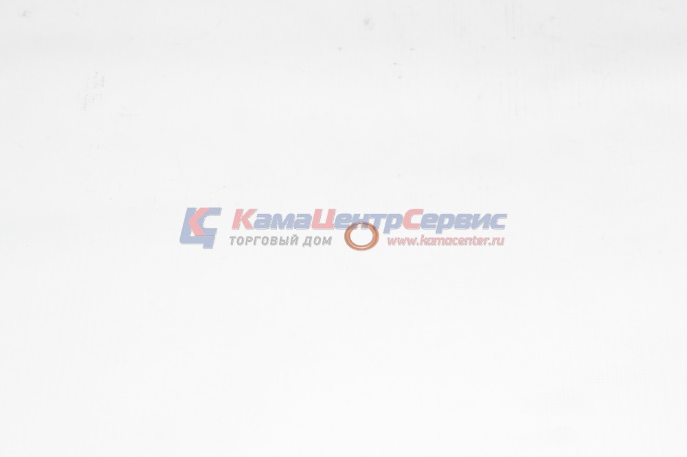 Шайба 9,3 форсунки 870638