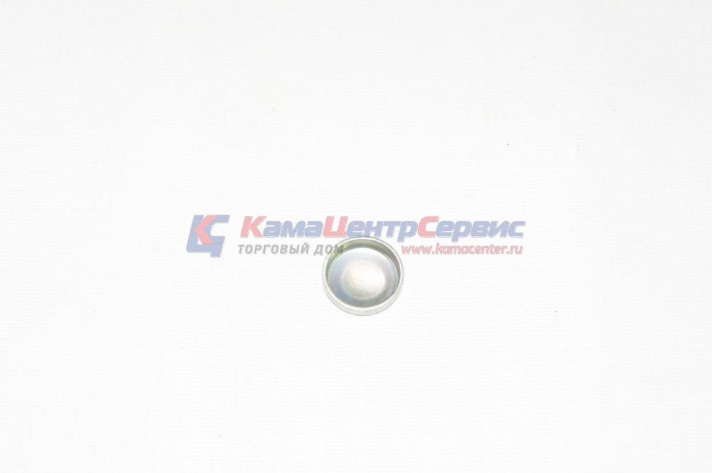 Заглушка d=28 делителя (ПАО КАМАЗ) 1/43290/07