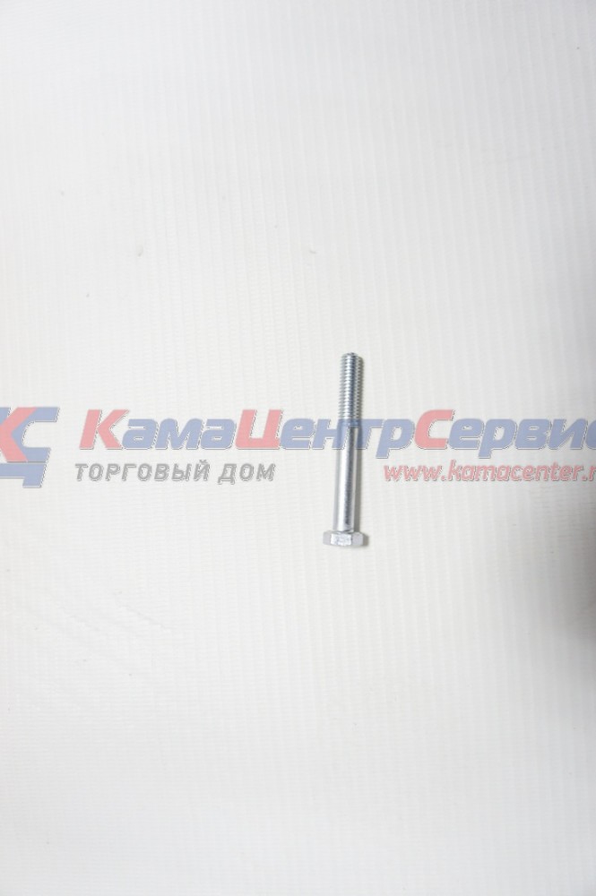 Болт М6х1х50 1/09036/21