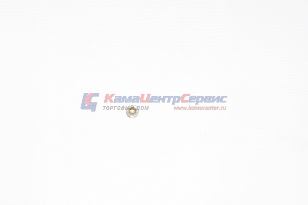 Пробка КГ 1/8, М10 блок, картер мах-ка, г/муфта 870884