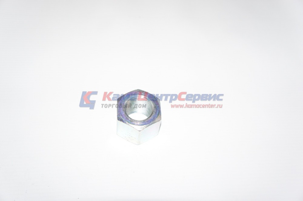 Гайка М27х2 стремянки задней 10тн (ПАО КАМАЗ) 5511-2912416