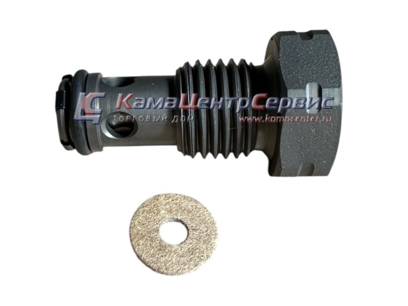 Клапан перепускной ЕВРО-4 (BOSCH) F00N202279